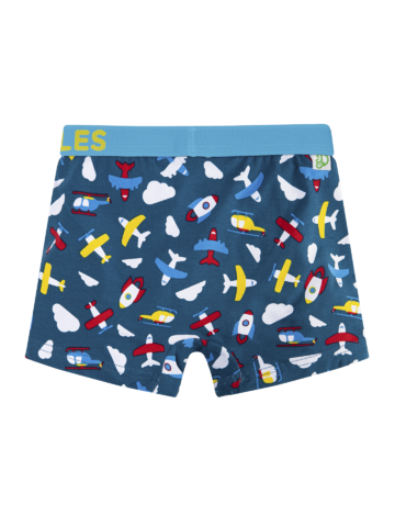 Pre dokonalý a originálny outfit Boys' Boxers Planes