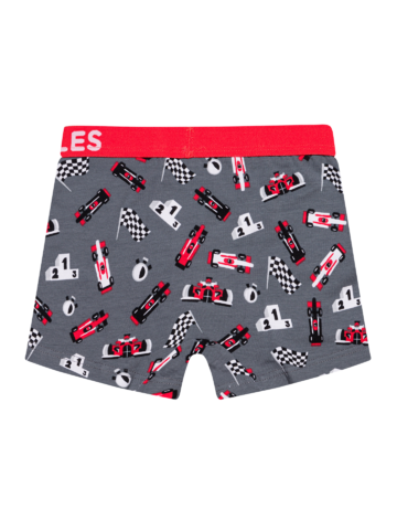 Pre dokonalý a originálny outfit Boxer da bambino Buonumore Gara di Formula 1