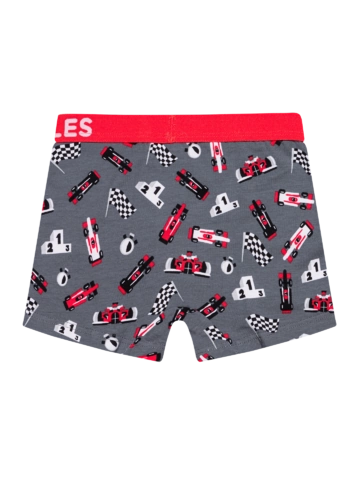 pro dokonalý a originální outfit Veselé chlapecké boxerky Závod formulí