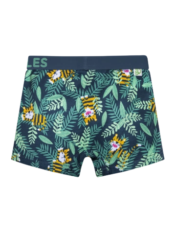 Hľadáte originálny a nezvyčajný darček? Obdarovaného zaručene prekvapí Veselé chlapčenské boxerky Tiger