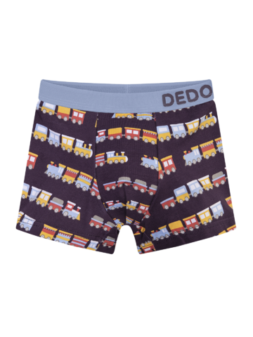 Foto Vidám fiú bokszeralsó Vonatok