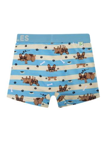 Lifestyle foto Boxer da bambino Buonumore Cani e Righe