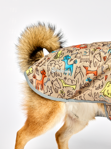 Lifestyle-Foto Regenmantel für Hunde Hundepack