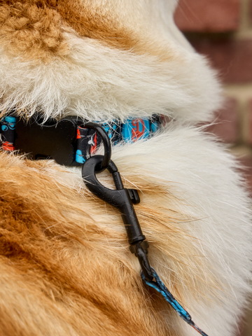 Suchen Sie ein originelles und außergewöhliches Geschenk? überrascht den Beschenkten sicher Hundehalsband Herzen und Pfoten