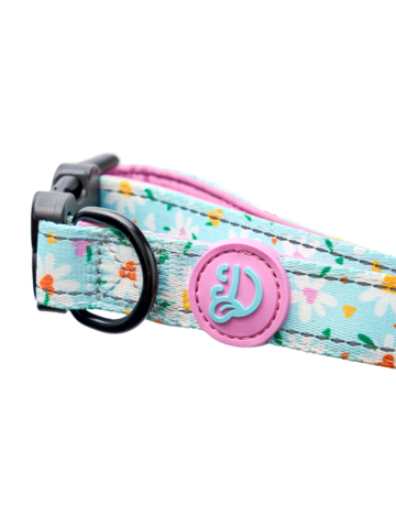 Lifestyle-Foto Hundehalsband Herzen und Gänseblümchen