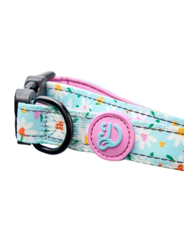 Lifestyle foto Psí obojok Srdiečka a sedmokrásky