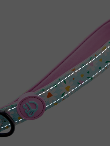 Lifestyle-Foto Hundehalsband Herzen und Gänseblümchen