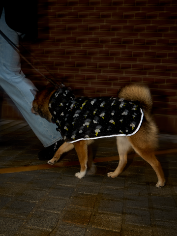 Rabatt Regenmantel für Hunde Sturm