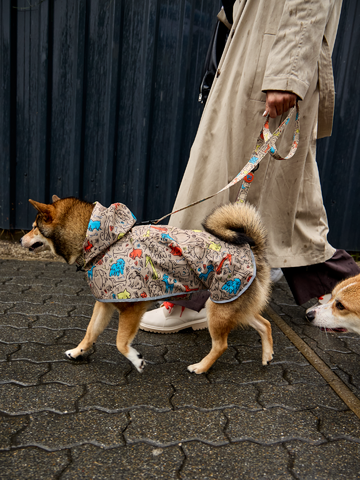 Geschenk von Dedoles Regenmantel für Hunde Hundepack
