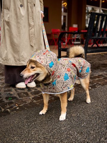 Geschenktipp Regenmantel für Hunde Hundepack