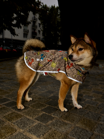 Suchen Sie ein originelles und außergewöhliches Geschenk? überrascht den Beschenkten sicher Regenmantel für Hunde Hundepack