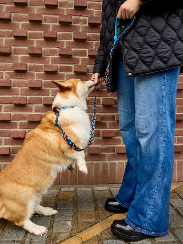 Výpredaj Кучешки повод Сърца и лапи