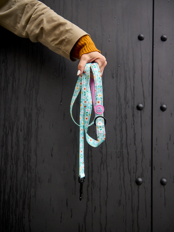 Rabatt Hundeleine Herzen und Gänseblümchen