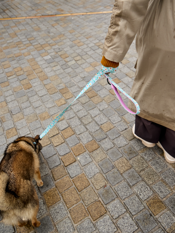 Bereiten Sie sich Freude mit diesem Dedoles-Stück Hundeleine Herzen und Gänseblümchen