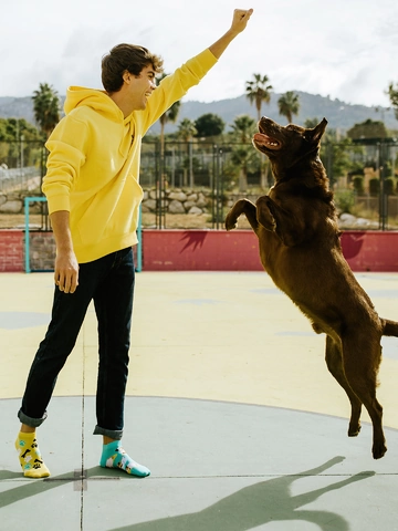 Zľava Živahne kratke nogavice Veseli pes