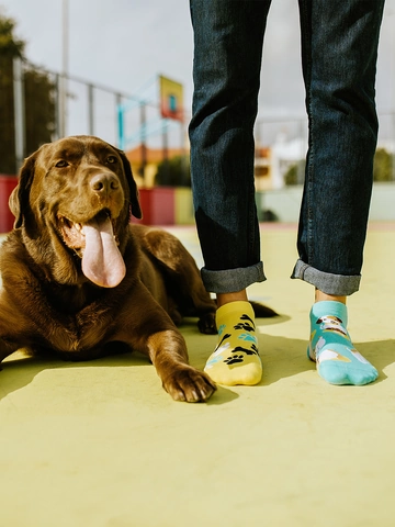 Pre dokonalý a originálny outfit Živahne kratke nogavice Veseli pes