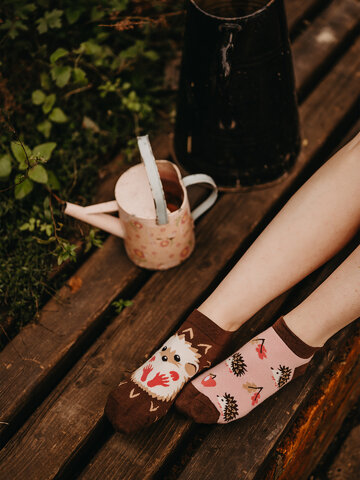 Výnimočný darček od Dedoles Весели къси чорапи Таралеж