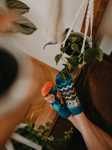 Tip na darček Veselé členkové ponožky Múdra sova