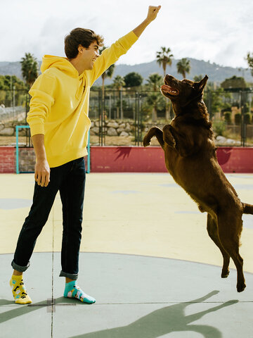 Lifestyle foto Весели къси чорапи Щастливо куче