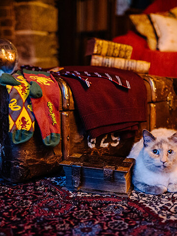 Looking for an original and unusual gift? The gifted person will surely surprise with Harry Potter Regular Socks ™ Gryffindor vs Slytherin