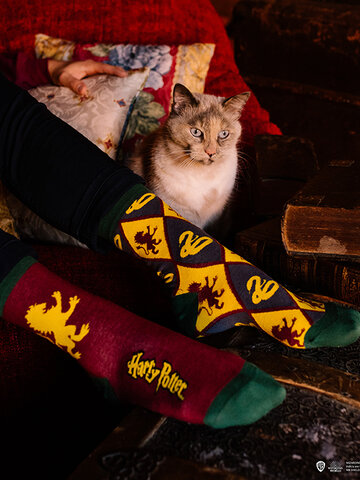 Chaussettes rigolotes Harry Potter Gryffondor vs Serpentard Dedoles