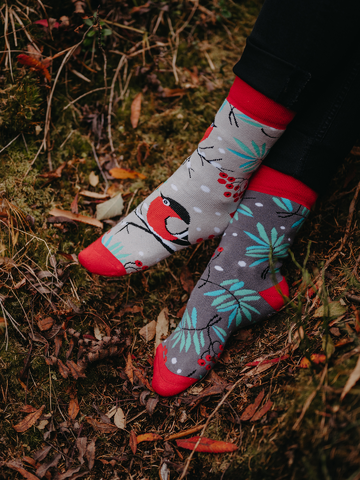 Szerezzen magának örömet ezzel a Dedoles darabbal Vidám meleg zokni Piros kismadár