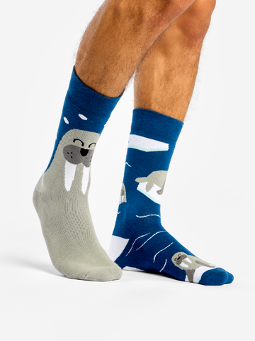 Tip na darček Весели топли чорапи Морж