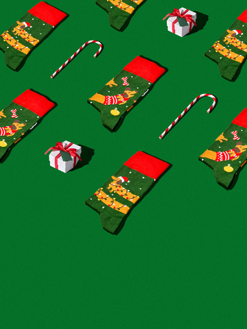 Lifestyle foto Весели чорапи Дакел и подаръци