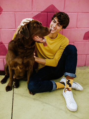 Tip na darček Весели чорапи Дакели