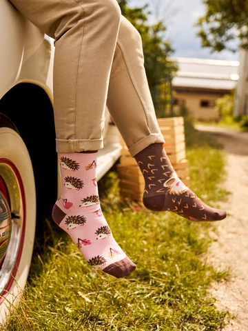 Potešte sa týmto kúskom Dedoles Chaussettes rigolotes Hérisson
