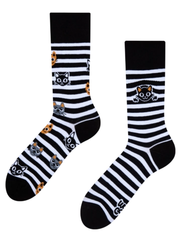 Lifestyle foto Veselé ponožky Kočky a pruhy