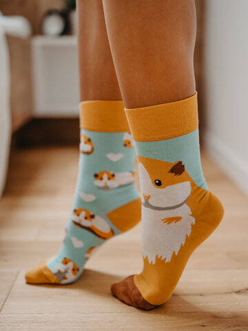 Lifestyle foto Весели чорапи Морско свинче