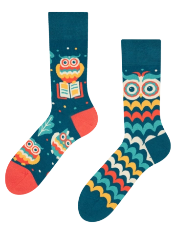 Pre dokonalý a originálny outfit Vesele čarape Mudra sova