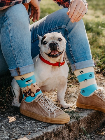 Lifestyle foto Chaussettes rigolotes Chiens et rayures
