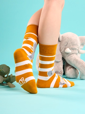 Lifestyle foto Veselé ponožky Slon a pruhy
