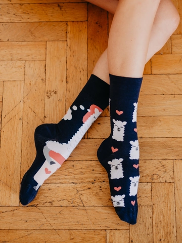 Potěšte se tímto kouskem Dedoles Veselé ponožky Spící lama