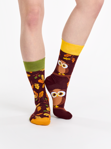 Lifestyle foto Весели чорапи Любопитна сова