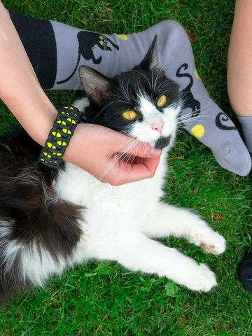 Zľava Bracelet en paracorde bleu, jaune et noir Chat