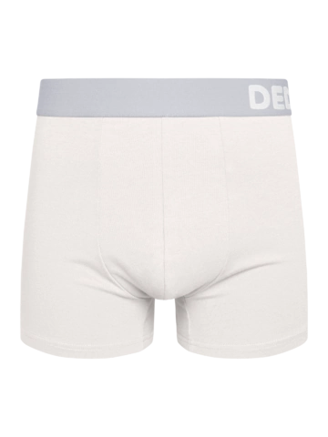 Výnimočný darček od Dedoles Boxer blanc pour hommes