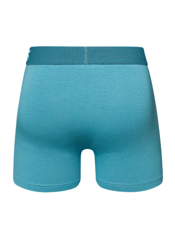 Výpredaj IJsberg blauwe herentrunks