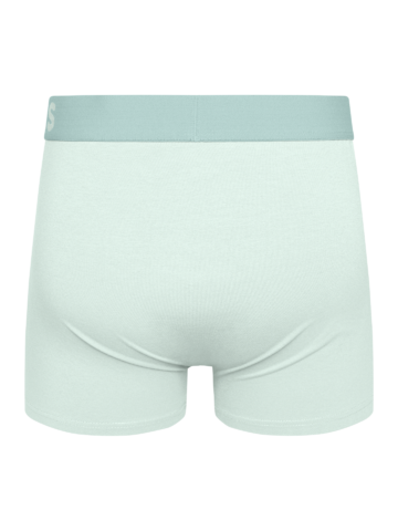 Szerezzen magának örömet ezzel a Dedoles darabbal Mentazöld férfi bokszeralsó