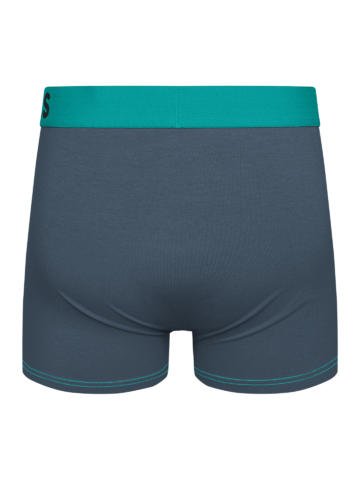 Kiárusítás Türkiz-szürke férfi bokszeralsó