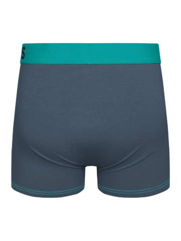 Kiárusítás Türkiz-szürke férfi bokszeralsó