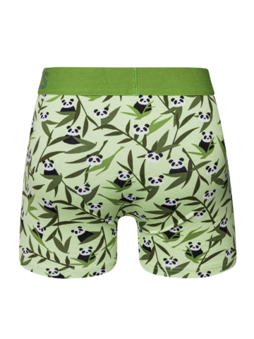 Lifestyle fotó Vidám férfi bokszeralsó Pandák és bambusz 