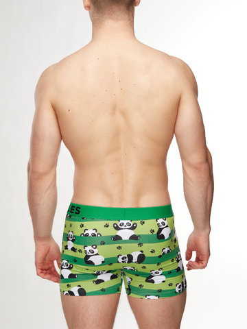 Lifestyle photo Men's Trunks Panda & Stripes