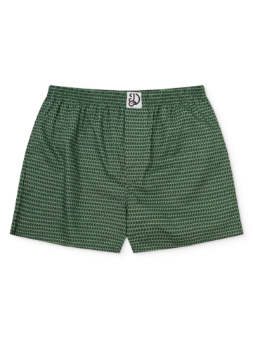 Výnimočný darček od Dedoles Caleçon pour hommes à motifs vert pastel