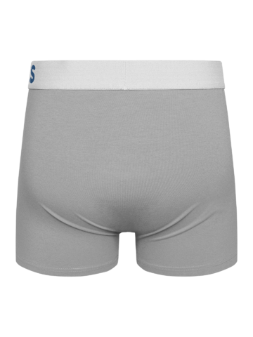 Original gift Light Grey Men's Trunks