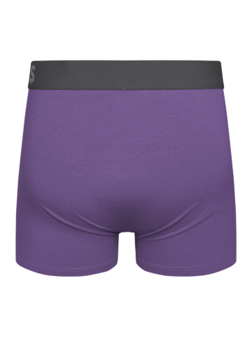 Výnimočný darček od Dedoles Boxer violet fluo pour hommes