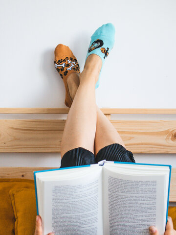 Lifestyle foto Vrolijke no-show sokken Teckel