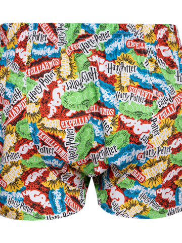 Looking for an original and unusual gift? The gifted person will surely surprise with Harry Potter ™ Men's Boxer Shorts Spells